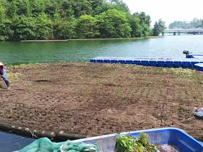 人工浮动湿地 